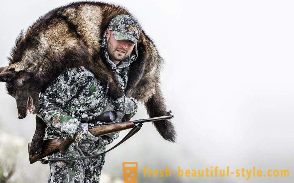 Zimski lov, ko se odpre sezona, nasveti za začetnike, še posebej oprema