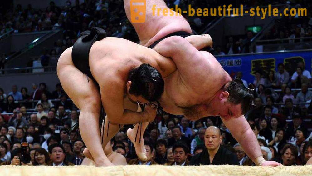 Sumo Wrestling: zgodovina, pravila, tehnike in ima najbolj zanimivih dejstev