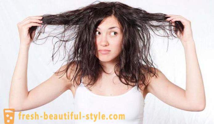 Učinkovit šampon za mastne lase: ocene, vrste in proizvajalci