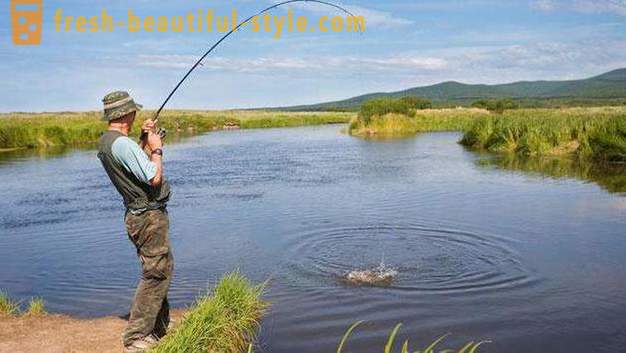 Prosti ribolov v predmestju - kam iti? Prosti ribniki v Moskvi