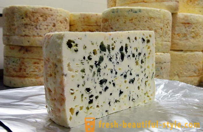 Proizvodni proces francosko Roquefort sira iz starih receptih