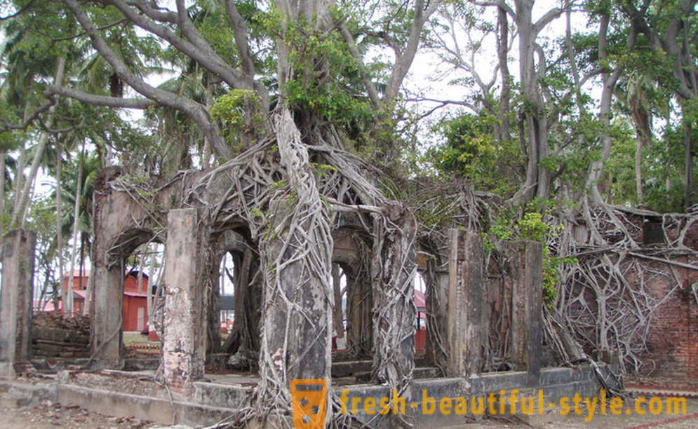 Čudovito ruševine zapuščenih otokih