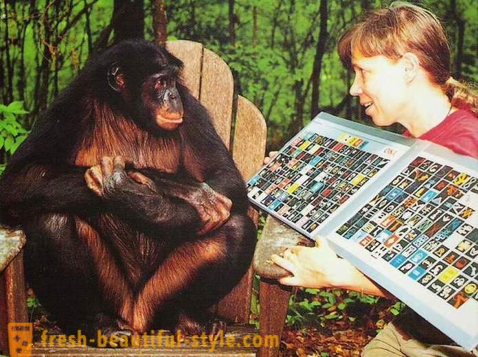 Opice, ki jih ljudje naučili govoriti