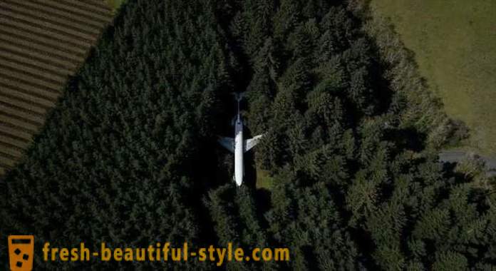 Ameriški, 15 let življenja v letalu sredi gozda