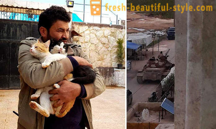 Človek je ostal v razdejala vojna Aleppo, da skrbijo za zapuščene živali