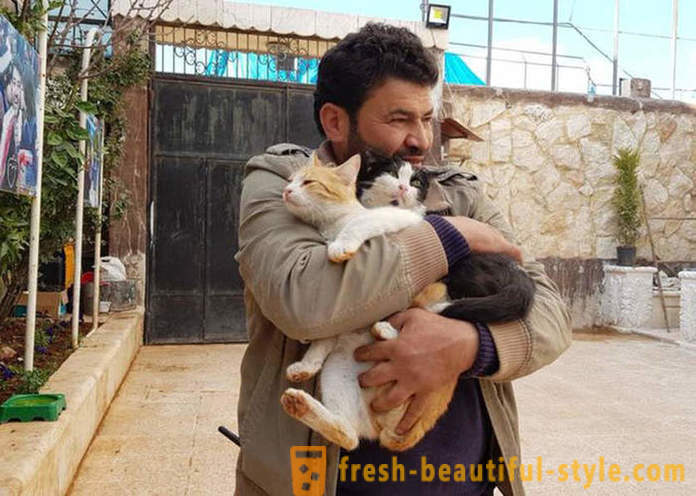 Človek je ostal v razdejala vojna Aleppo, da skrbijo za zapuščene živali