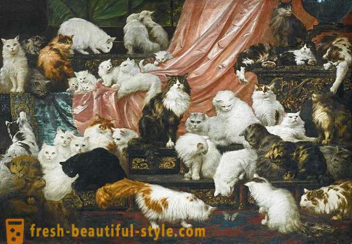 Top 6 najdražje slike z mačkami