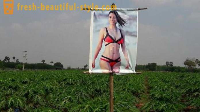 Plakat s porno zvezdo za zaščito rastlin iz zlo oko