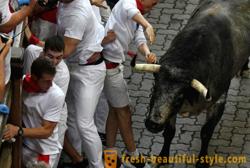 Kako je bilo na letni tek bikov v Pamploni, Španija