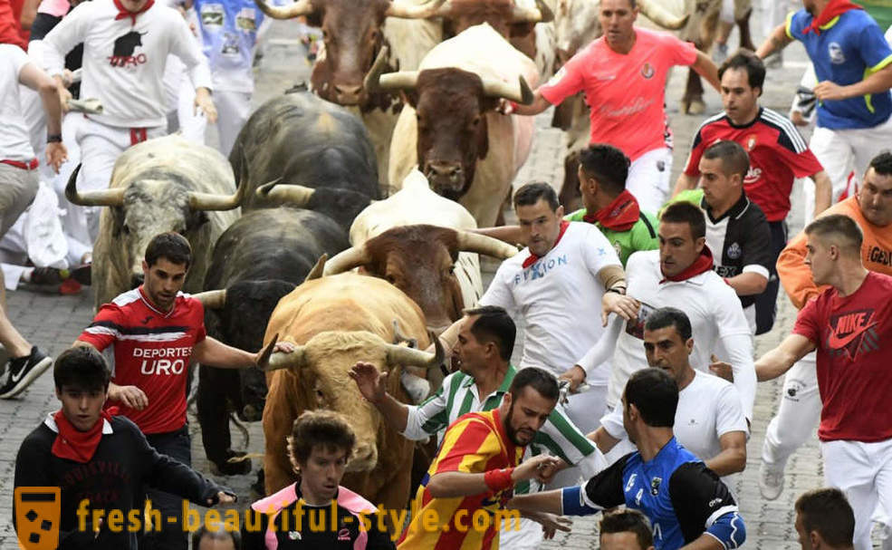 Kako je bilo na letni tek bikov v Pamploni, Španija