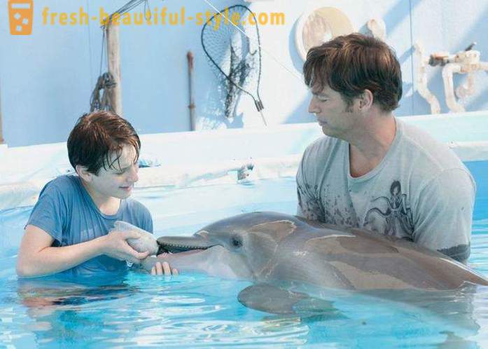 Izbor filmov o delfinih