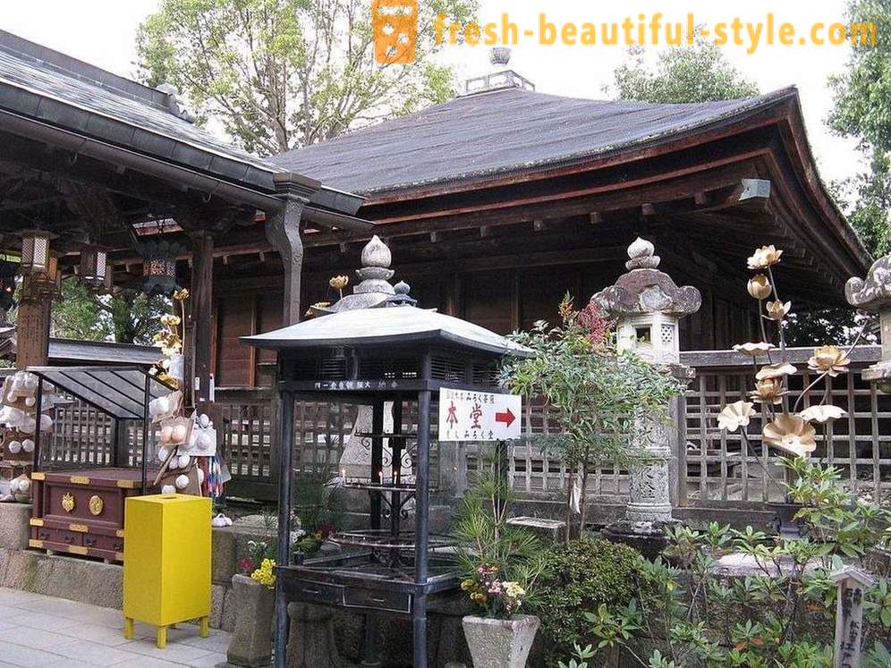 Na Japonskem, je tempelj posvečen ženske prsi, in da je v redu