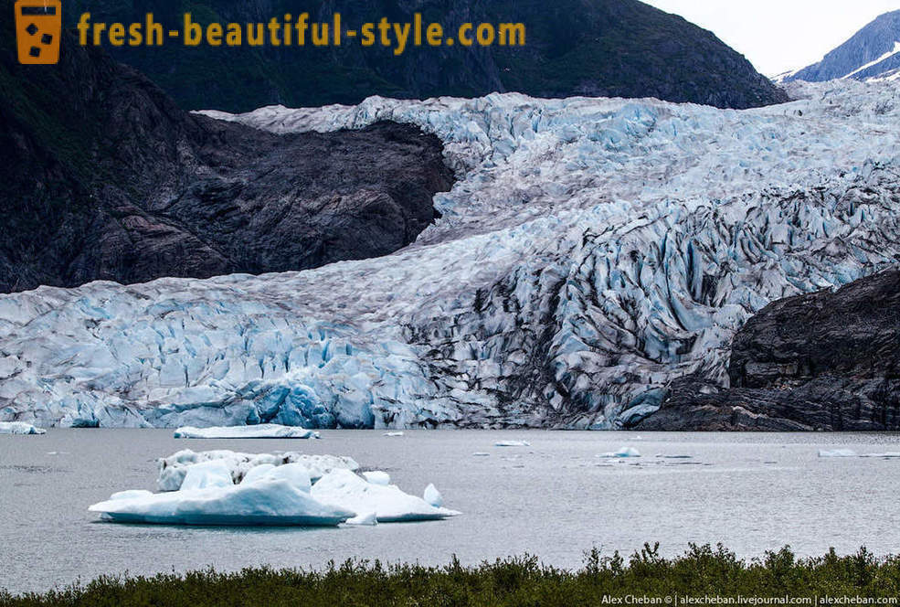Ledeniki Aljaske