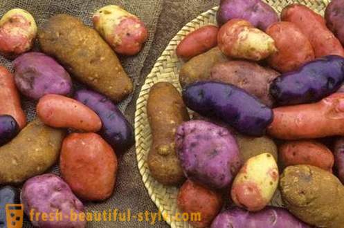 Kaj morate vedeti o vsaki krompirja
