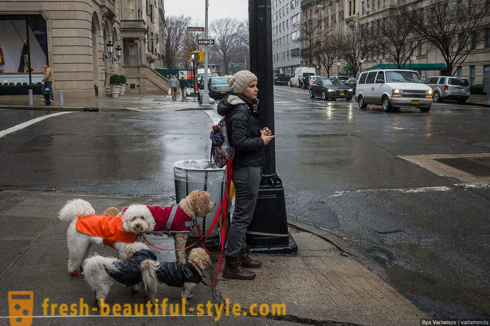 New York: Nenavadno moda, slabe ceste in hotel prihodnosti