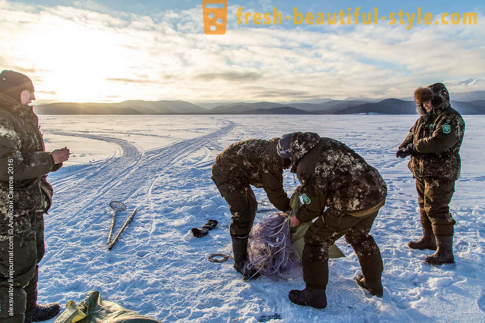 Kako rybinspektory na Bajkalsko