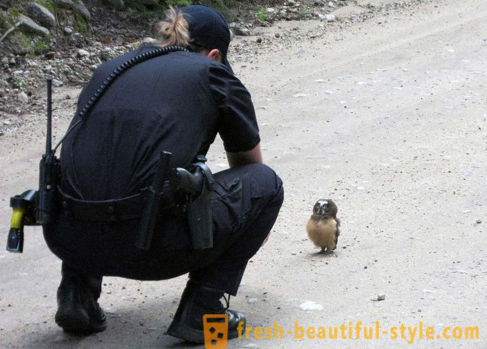 Živali v fotografijah 2015