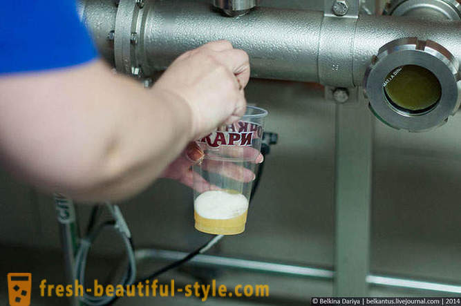 Kako narediti pivo v Altai Territory