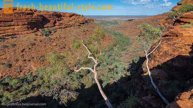 Sprehod skozi kanjon Kings v Avstraliji