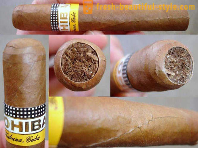Proces ustvarjanja najboljših kubanskih cigar