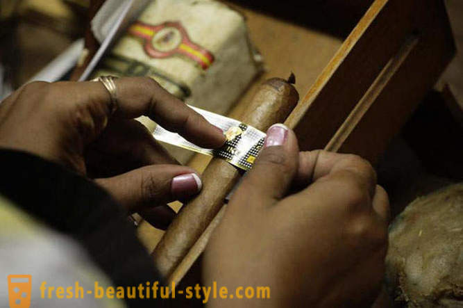 Proces ustvarjanja najboljših kubanskih cigar