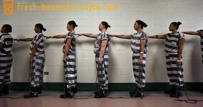 Delavniki ženske zaporniki v zaporu v ZDA