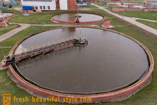 Kot očiščene odpadne vode v Moskvi