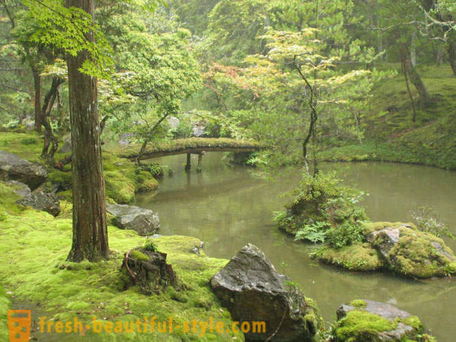 Moss vrt na Japonskem