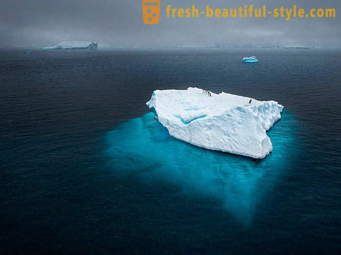 Najboljše fotografije iz National Geographic 2012