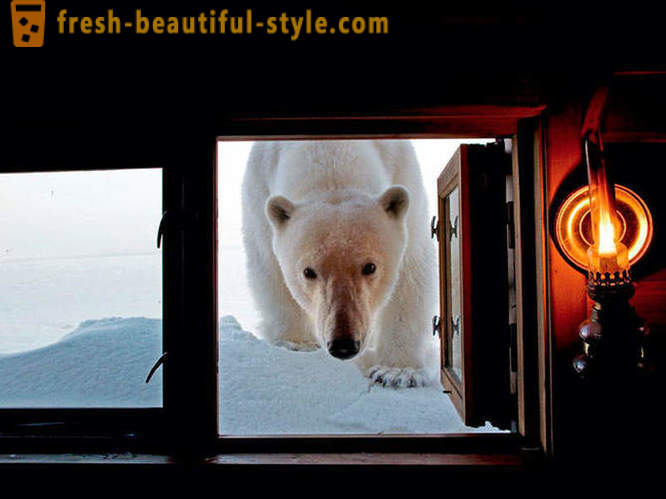 Najboljše fotografije iz National Geographic 2012
