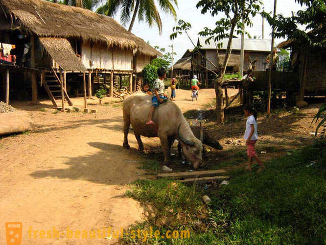 GeoFresher - Kako živeti v Laos