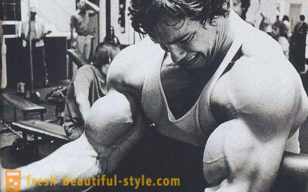 Vaja biceps. Program usposabljanja za biceps