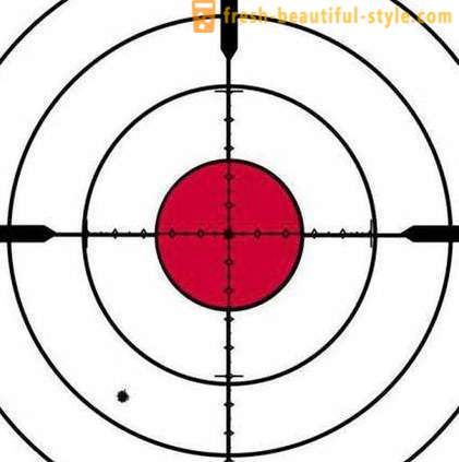 Target za streljanje z zračno puško in pištolo. Vrsta. izbor