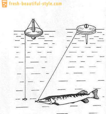Lovljenje Pike krog: značilnosti metode. Pike ribolov na kroge na reki, na jezeru