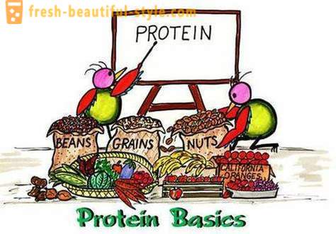 Kaj so proteini? Kdo in kako bo protein