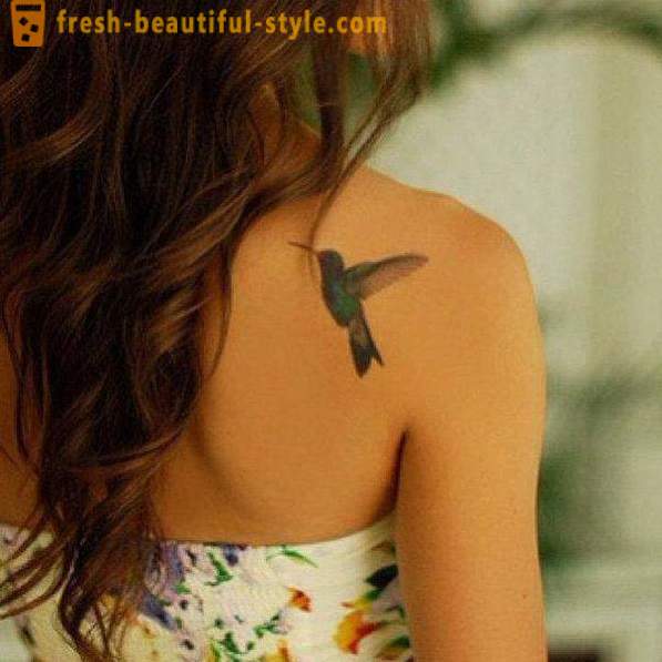 Hummingbird tatu - simbol vitalnosti in energije