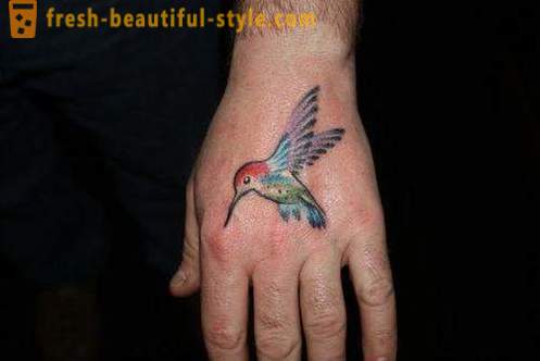 Hummingbird tatu - simbol vitalnosti in energije