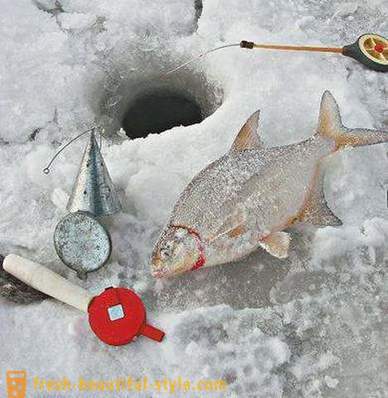 Zimski orade. Pribor za zimski ribolov orad
