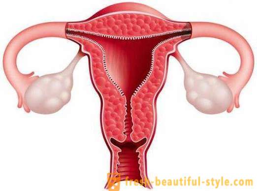 Kako povečati endometrij