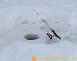 Razburljivo ribolov krapa v zimskem času